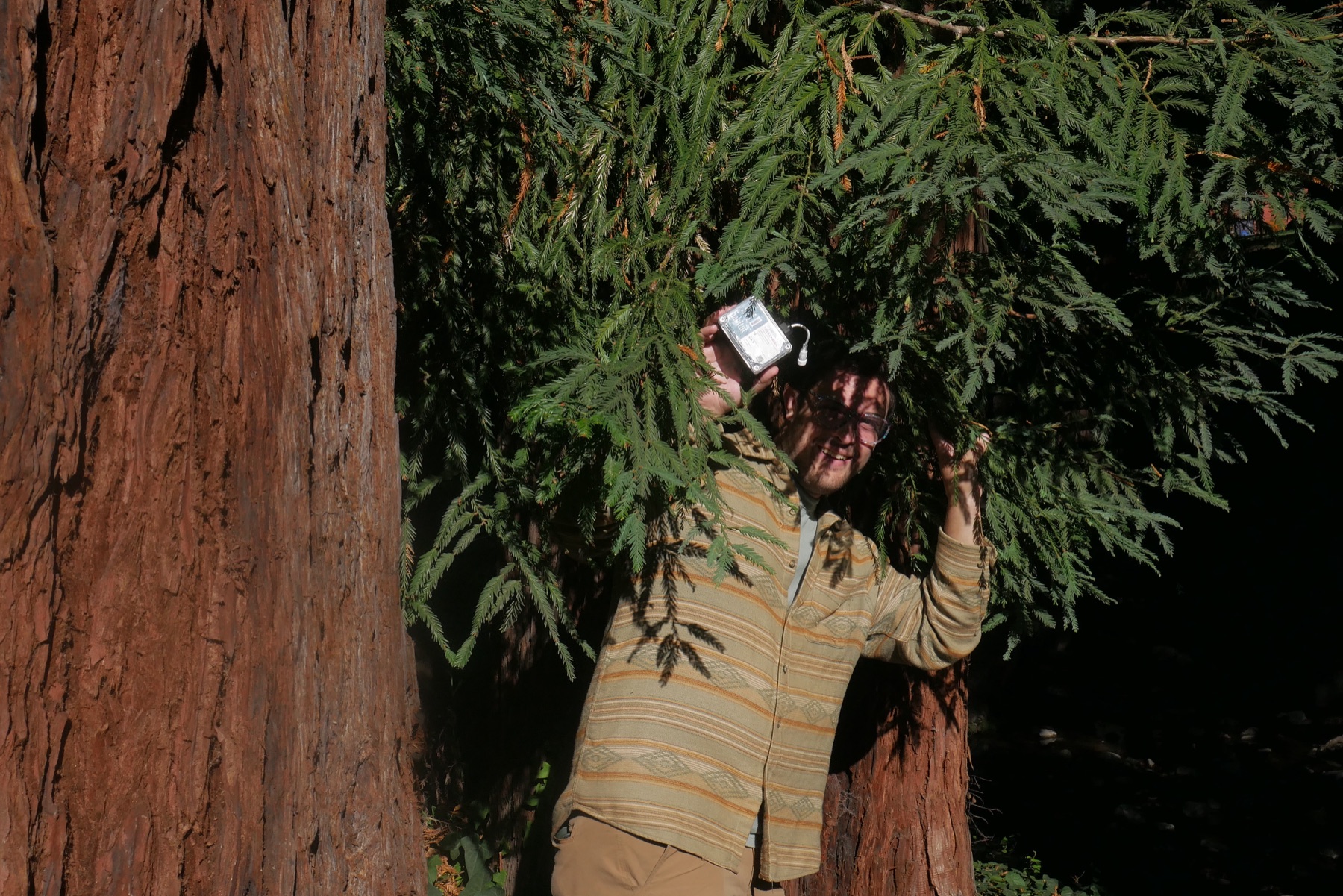 Jack smiling while emerging from redwood branches with a Catbird Ear