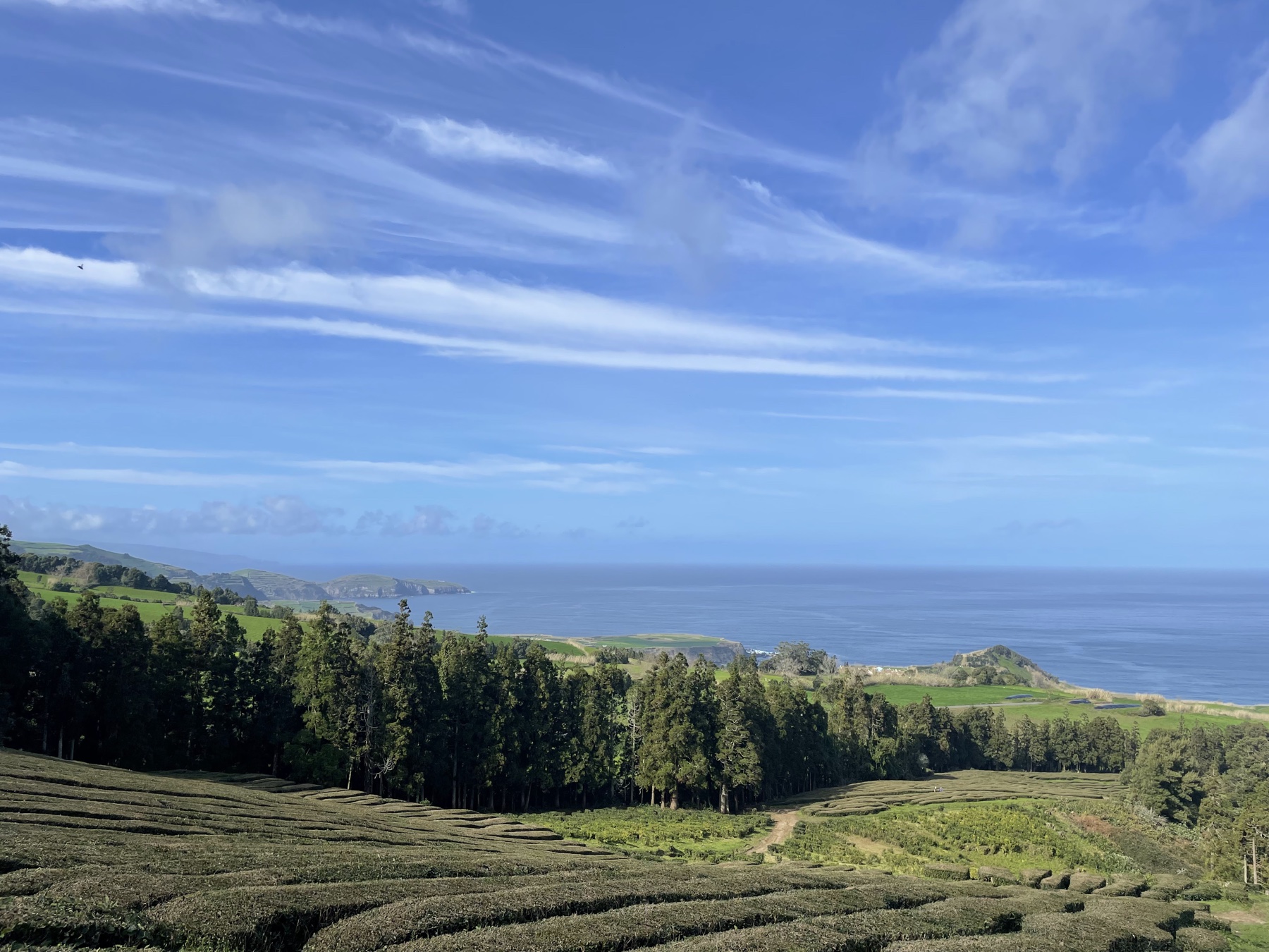 Cultivated fields and forest descending toward the ocean beneath a wide blue sky