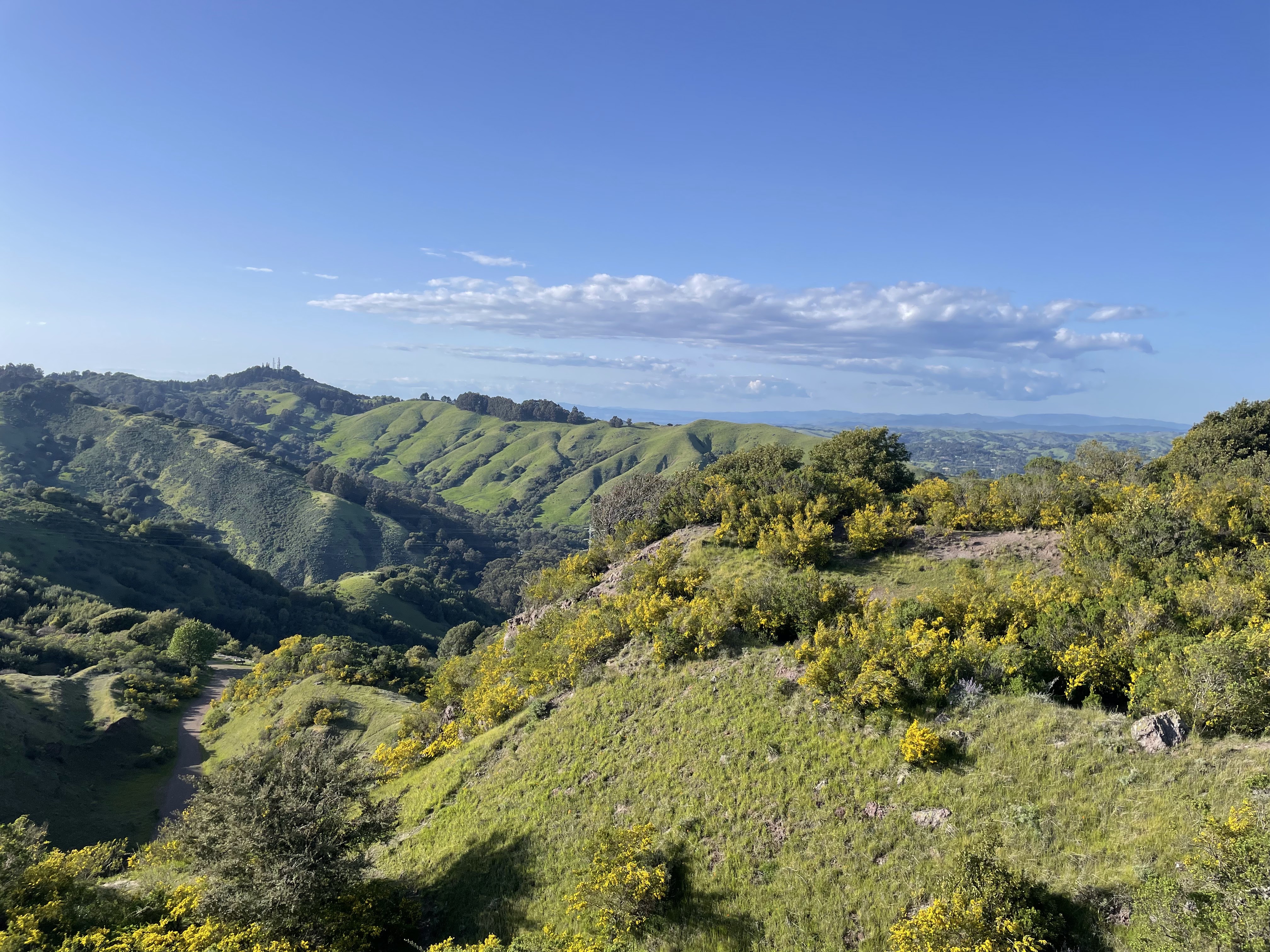 Green rolling hills, a winding trail, and yellow flowering shrubs beneath a blue sky